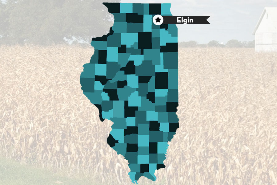 3. Elgin